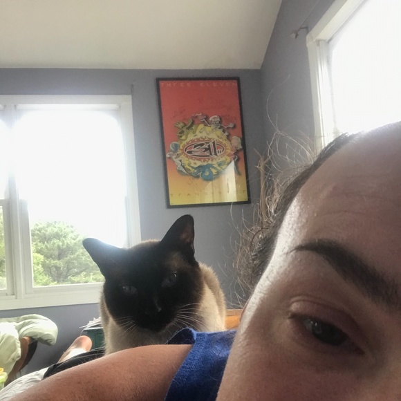 Meet your Posher, Jesse - Picture 4 of 8